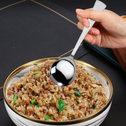 4 Pcs Stainless Steel Serving Spoon Set - Big Cooking Spoons, 21cm