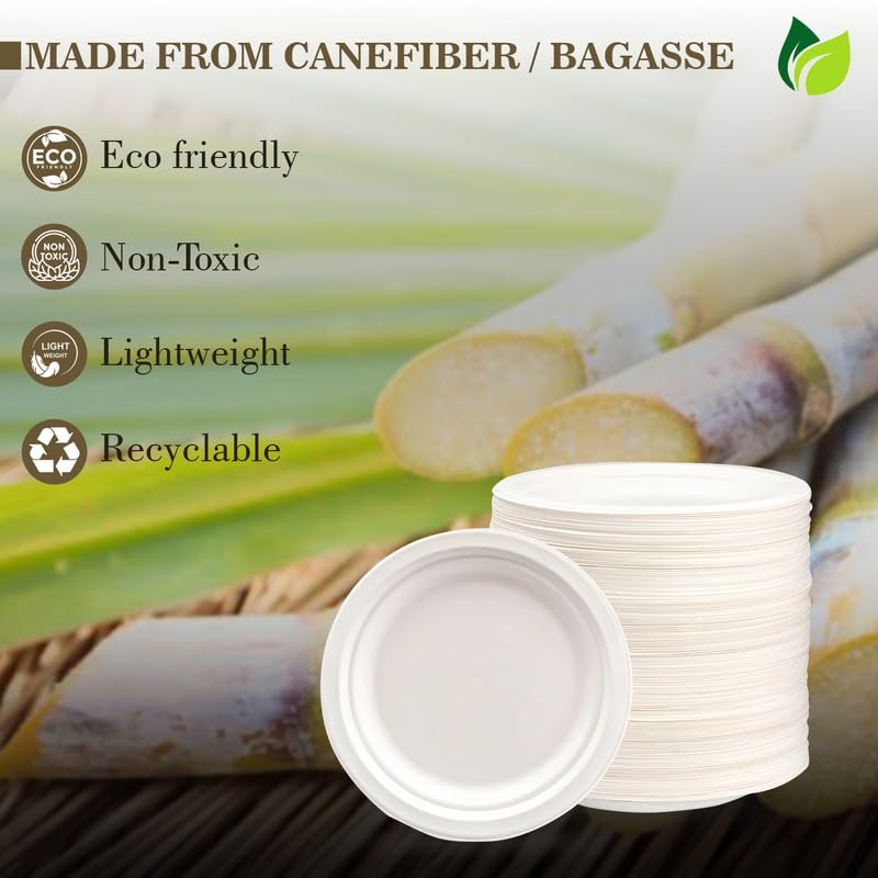 50pc Bagasse Plates | 6in Eco-Friendly Disposable | White6INCHBGPLATE501 3