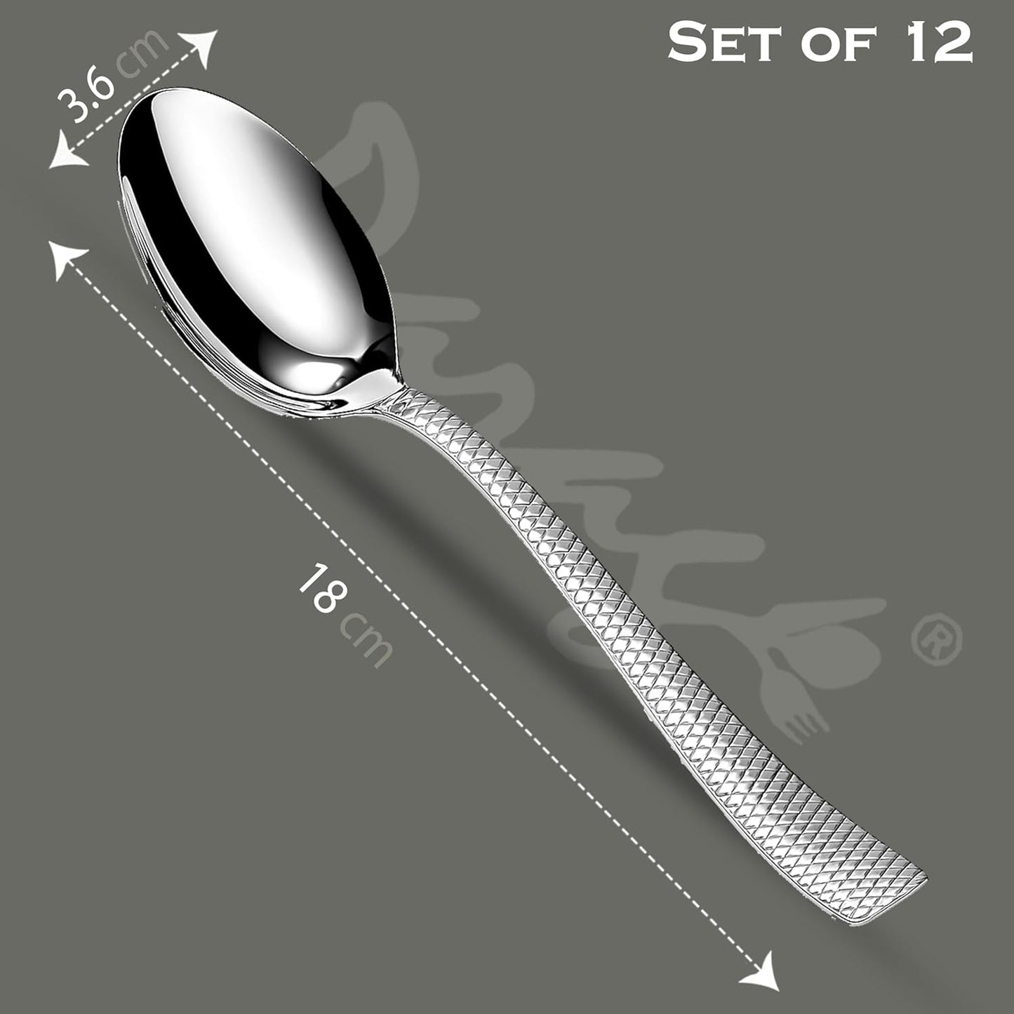12 Pcs Stainless Steel Dinner Spoon Set with Mirror Finish for Home & Kitchen DS1113ZIG 2
