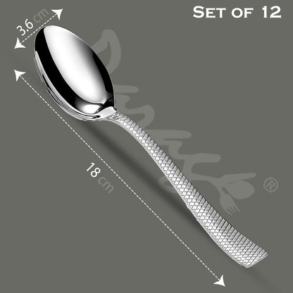 12 Pcs Stainless Steel Dinner Spoon Set with Mirror Finish for Home & Kitchen DS1113ZIG 2