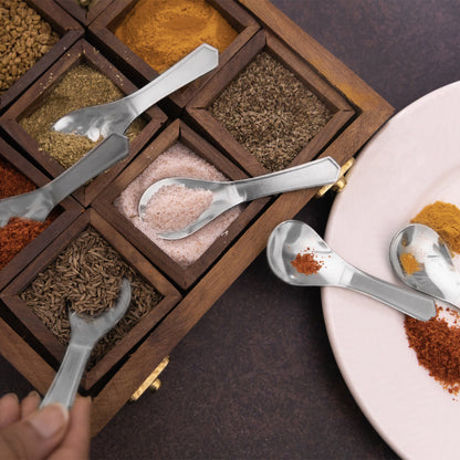 12 Pcs Stainless Steel Small Spoon Set | 9 cm Mini Masala & Spice Spoons