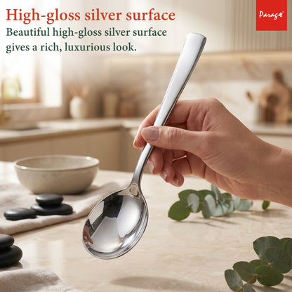 Serving Spoon Set | 21cm, 4 pcs | Stainless Steel | Silver | Big Cooking Spoon