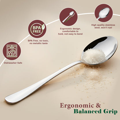 12 Pcs Stainless Steel Tea Spoon Set - Coffee, Sugar & Condiments, 14.5cm